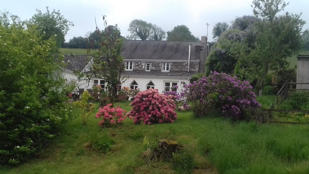 Hills Farm B&B Laugharne Esterno foto